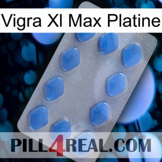 Vigra Xl Max Platinum 21